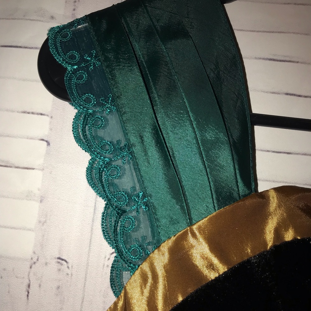 Disney frozen Anna dress - Picture 7 of 8